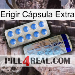 Erigir Cápsula Extra 39